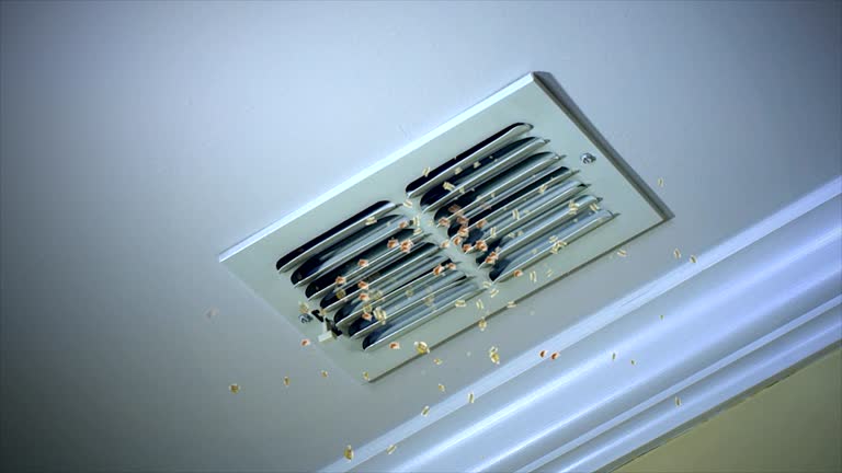 Best Best Air Duct Cleaning Company  in Grovetown, GA